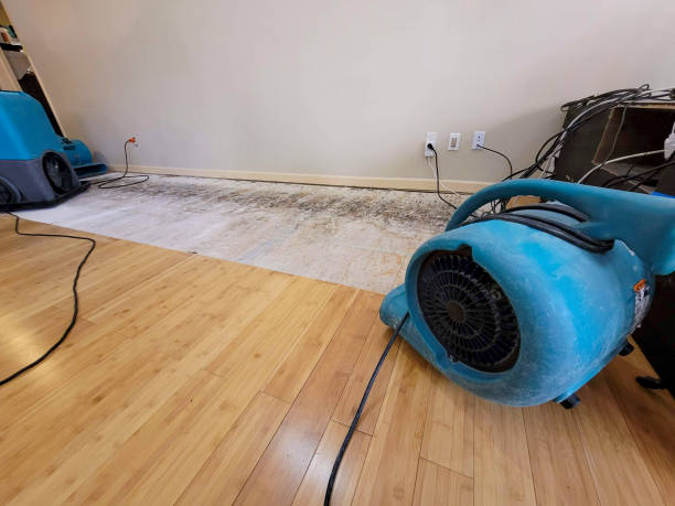 Professional Basement Flood Cleanup technician working in Courtland, VA